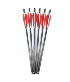 Lot de 6 flèches EK Archery...
