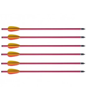 Lot de 6 flèches Ek Archery...