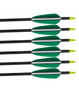 Lot de 6 flèches EK Archery...