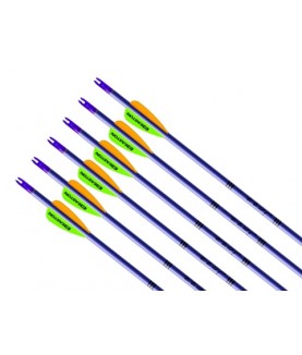 Lot de 6 flèches Easton...