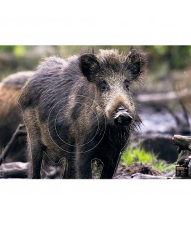 Maximal - Cible animalière Sanglier