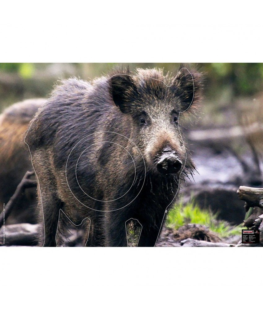 Maximal - Cible animalière Sanglier