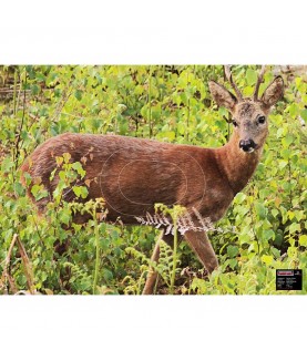 Maximal - Cible animalière Brocard en alerte