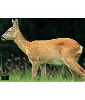 Maximal - Cible animalière Chevrette