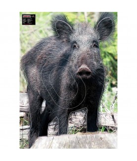 Maximal - Cible animalière Sanglier