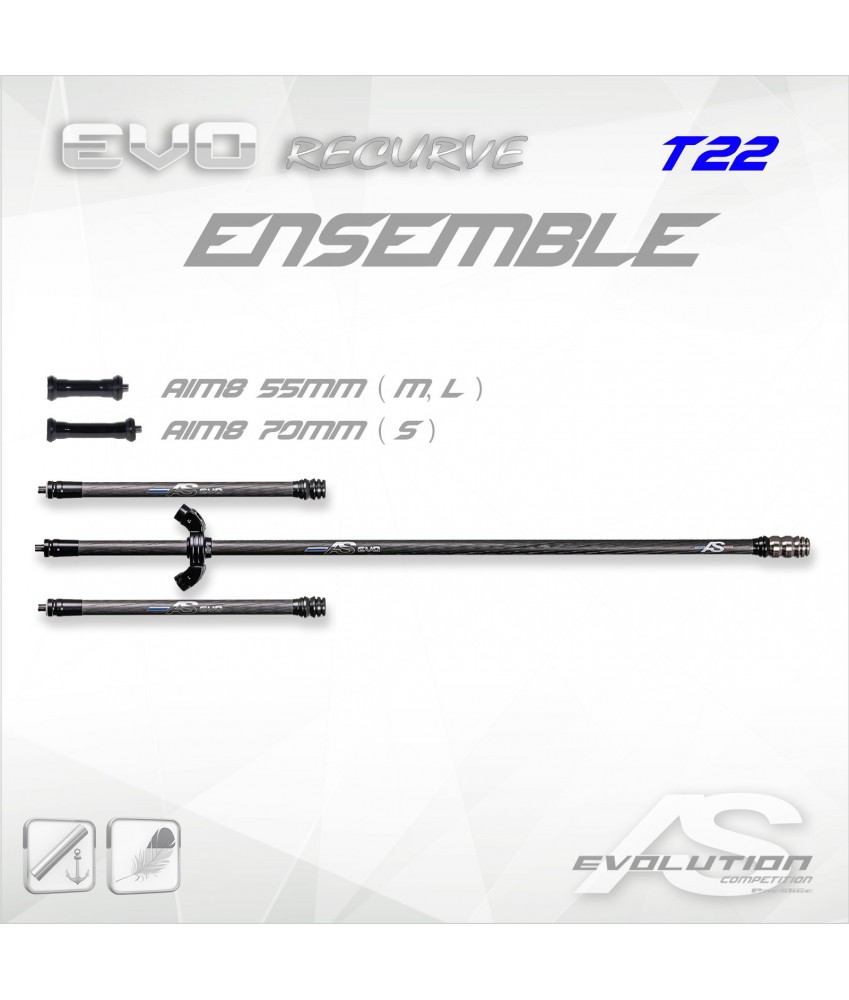 Ensemble stabilisation Arc Système EVO 15 recurve