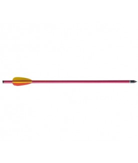 Ek Archery - Trait...