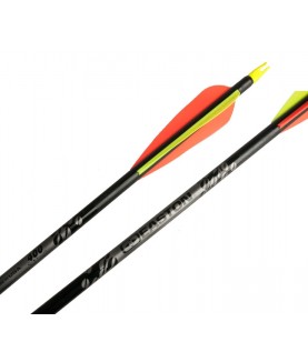 Easton - Flèche XX75 Gamegetter avec vanes plastiques
