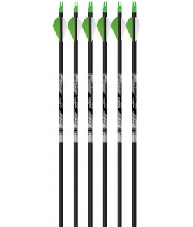 Beman - Flèche ICS Hunter Classic