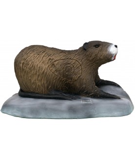 SRT - Cible 3D Ragondin (Coypu)