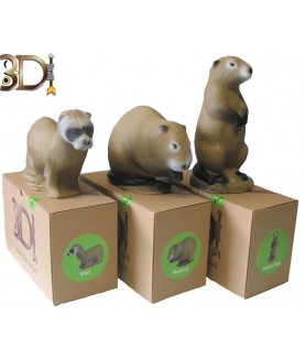 SRT - Family pack 3D International