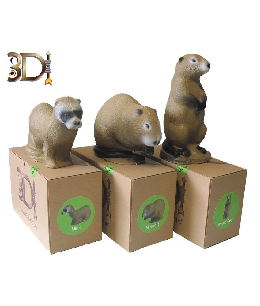 SRT - Family pack 3D International